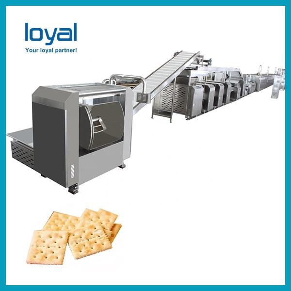 Automatic Hard and Soft Biscuit Making Machine, Cookie Production Line