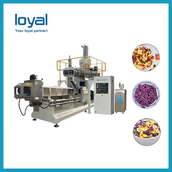 Stainless Steel Frying Processing Line/Fried Snack Chips Production Line/3D Pellet Making Machine